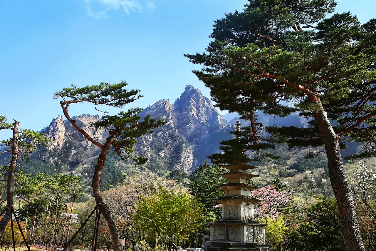 계절별로 매력 있는 강원도 한달살기 장소